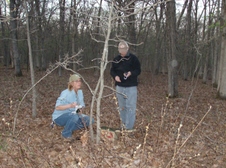 Enlarge photo 37