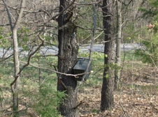 Enlarge photo 38