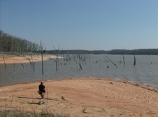 Enlarge photo 43