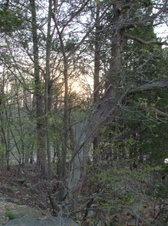 Enlarge photo 45
