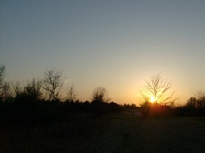 Enlarge photo 46