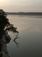 Enlarge photo 47