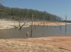 Enlarge photo 53