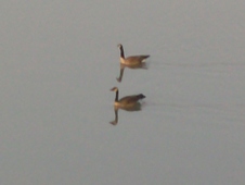 Enlarge photo 55
