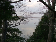 Enlarge photo 65