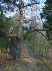 Enlarge photo 68
