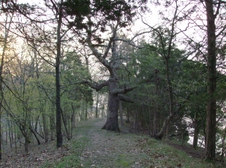 Enlarge photo 74