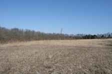 Enlarge photo 76