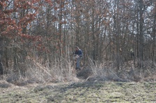 Enlarge photo 77
