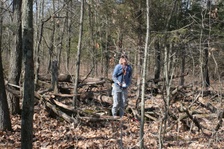 Enlarge photo 84