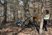 Enlarge photo 86