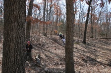 Enlarge photo 88