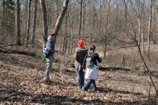 Enlarge photo 92