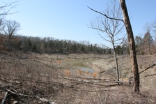 Enlarge photo 95