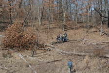 Enlarge photo 96