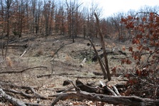 Enlarge photo 97
