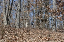 Enlarge photo 99