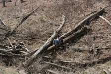 Enlarge photo 102