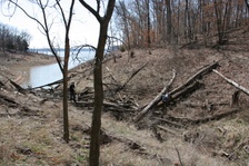 Enlarge photo 103