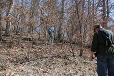 Enlarge photo 104