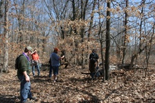 Enlarge photo 105