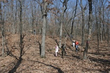 Enlarge photo 108