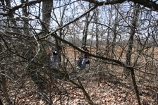 Enlarge photo 112