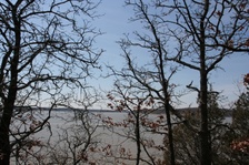 Enlarge photo 114