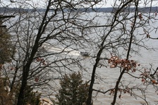 Enlarge photo 118