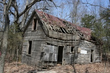 Enlarge photo 120