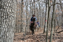 Enlarge photo 131