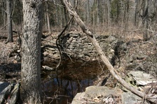 Enlarge photo 132
