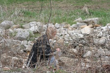 Enlarge photo 18
