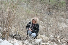 Enlarge photo 19