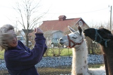 Enlarge photo 50