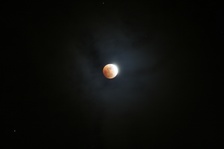 Enlarge photo 25