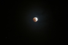 Enlarge photo 30