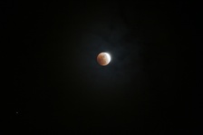 Enlarge photo 31
