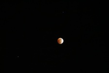 Enlarge photo 33