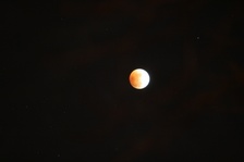 Enlarge photo 34