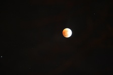 Enlarge photo 35