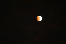 Enlarge photo 36