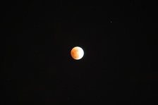 Enlarge photo 37