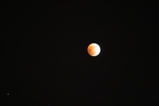 Enlarge photo 38