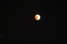 Enlarge photo 39