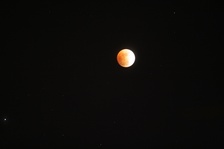 Enlarge photo 40