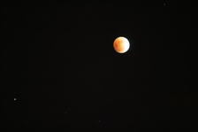 Enlarge photo 41