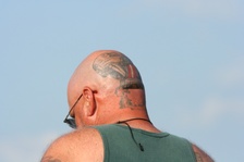 Enlarge photo 41