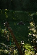 Enlarge photo 11