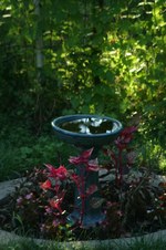Enlarge photo 16